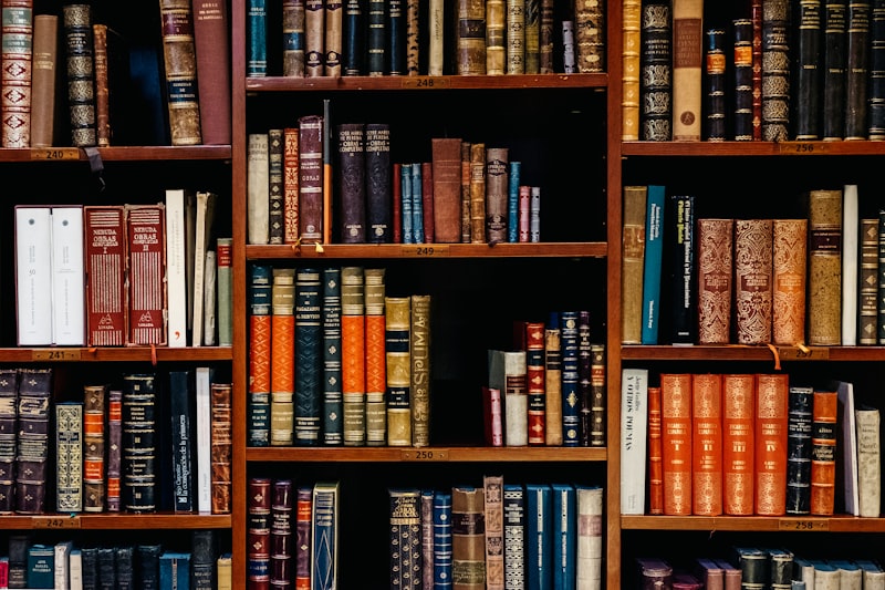 Reader browsing a wall of tailored library shelving